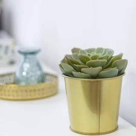 Rose-modern, Central, Quiet, Heroes' Square Lägenhet *